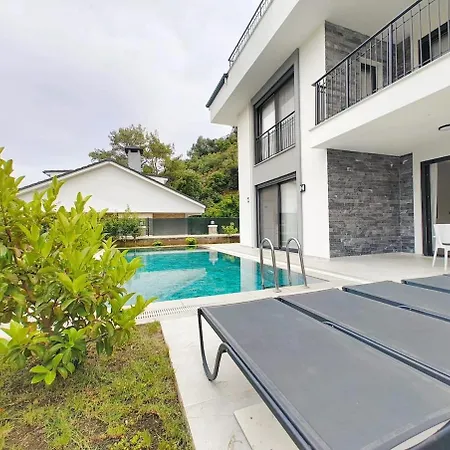 فيلة Harun *